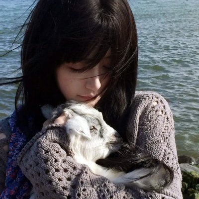 20美元